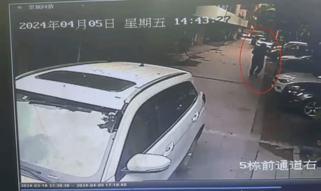 成都5岁女童小区内遭刚起步特斯拉碾压身亡，车主被认定全责未获谅解，一审将再开庭