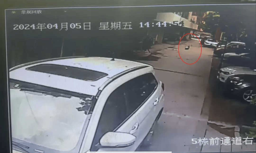 成都5岁女童小区内遭刚起步特斯拉碾压身亡，车主被认定全责未获谅解，一审将再开庭