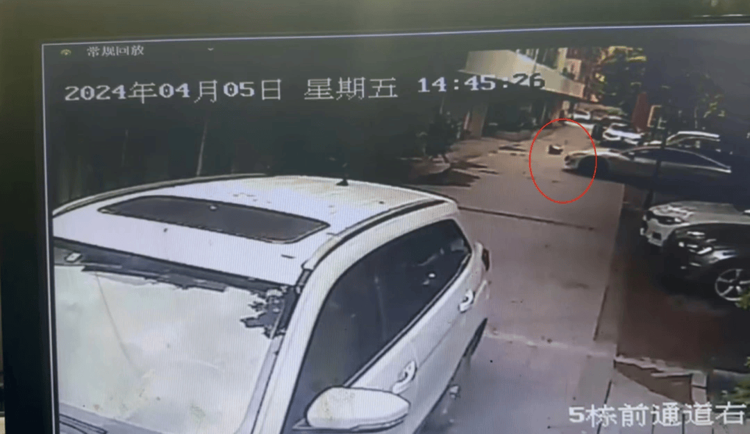成都5岁女童小区内遭刚起步特斯拉碾压身亡，车主被认定全责未获谅解，一审将再开庭