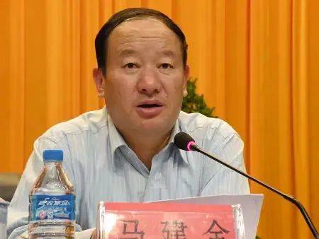 68岁副厅马建全，退休多年主动投案