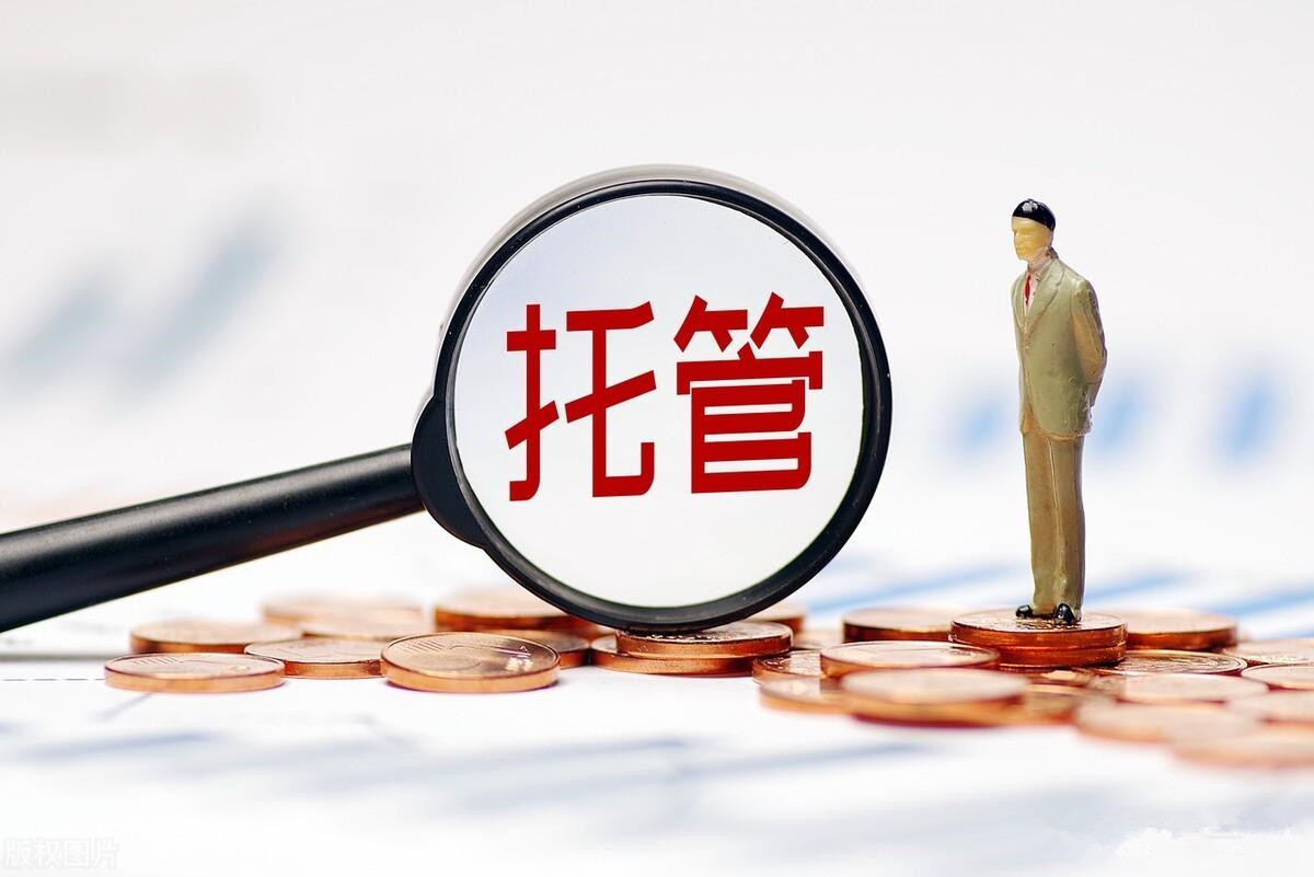 银行理财托管(理财托管是什么意思)