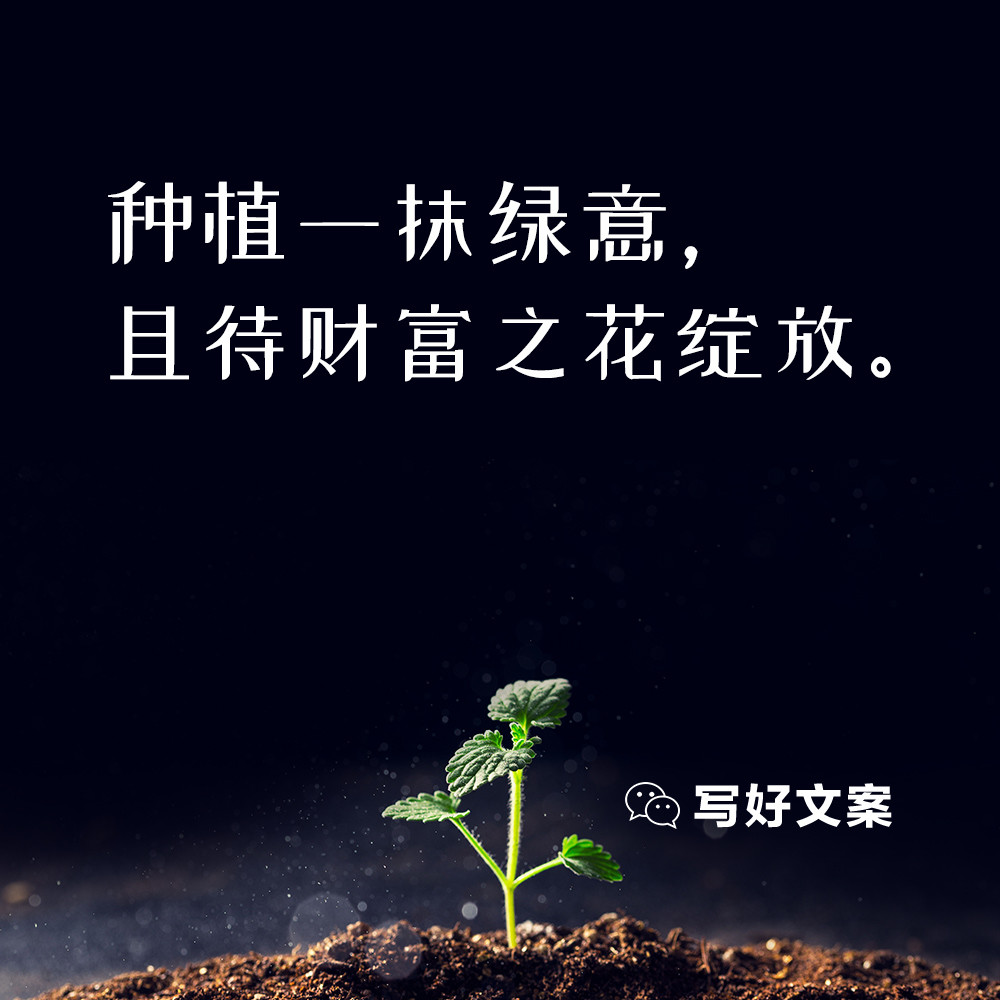 理财的文案(理财的文案短句)