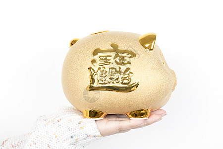 金猪理财(金猪理财最新消息)