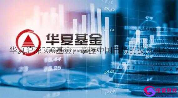 金盛理财(金盛投资理财)
