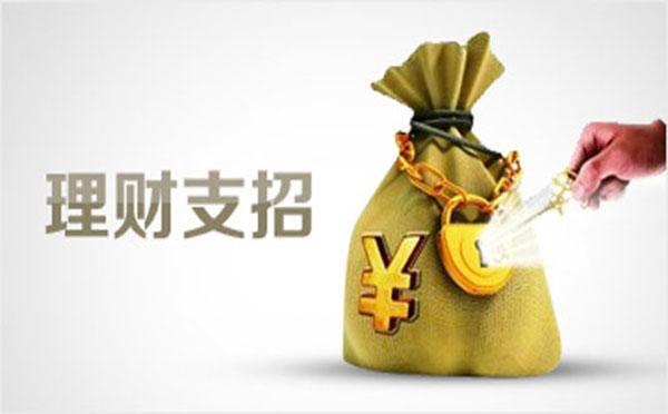 怎么理财呀(请问怎么理财?)