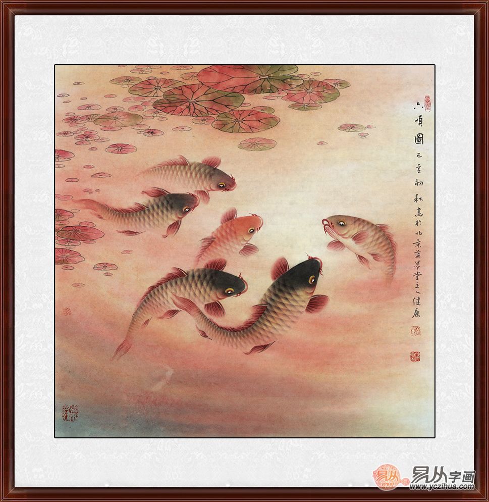 六鱼理财(六哥理财)