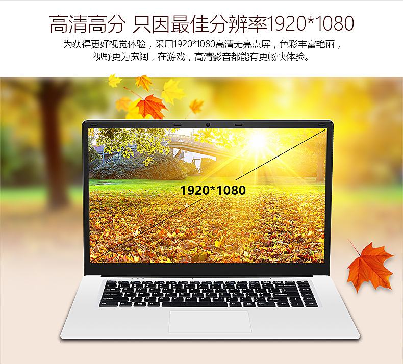 BeeX(be expected to的中文)