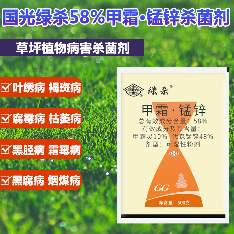 币森(币森币什么时候交易)