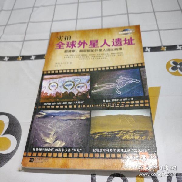 凤凰全球(凤凰全球观察团)