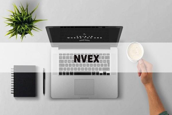 NVEX(虐心是什么意思)