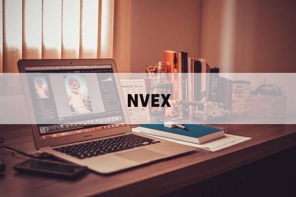 NVEX(虐心小说现言催泪短篇小说完结)
