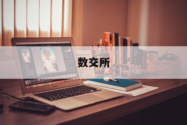 数交所(数交所交易平台)